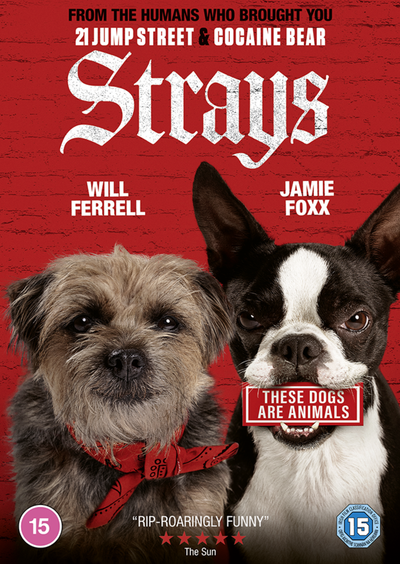 Strays [DVD] [2023]