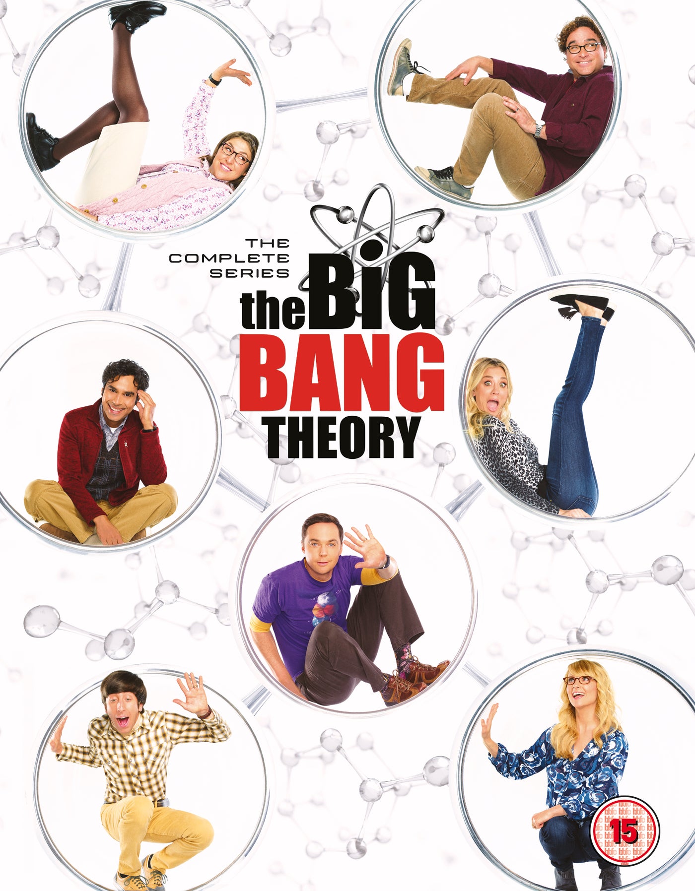 The Big Bang Theory Seasons 1-12 (DVD)