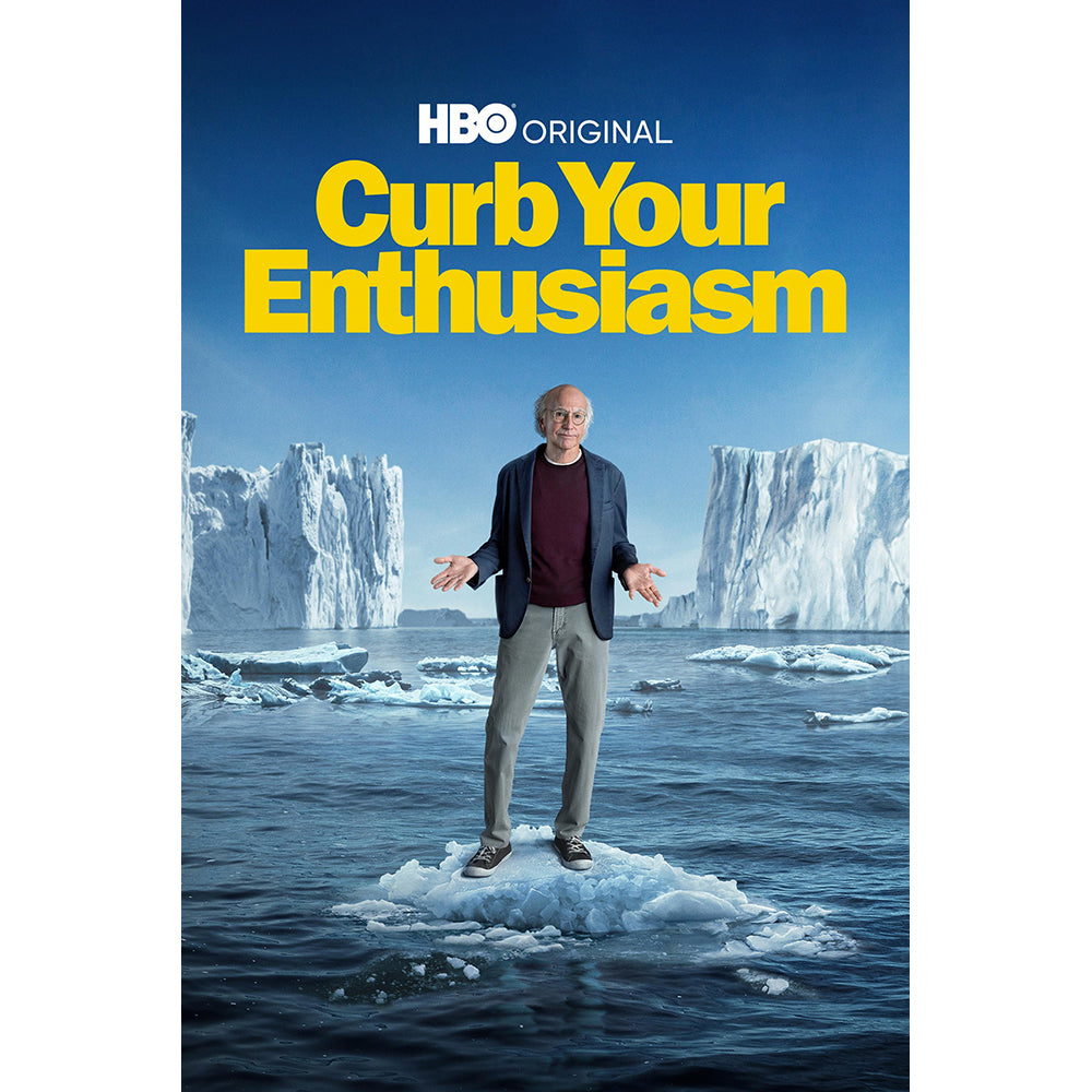 Curb Your Enthusiasm: Season 12 [DVD] [2024]