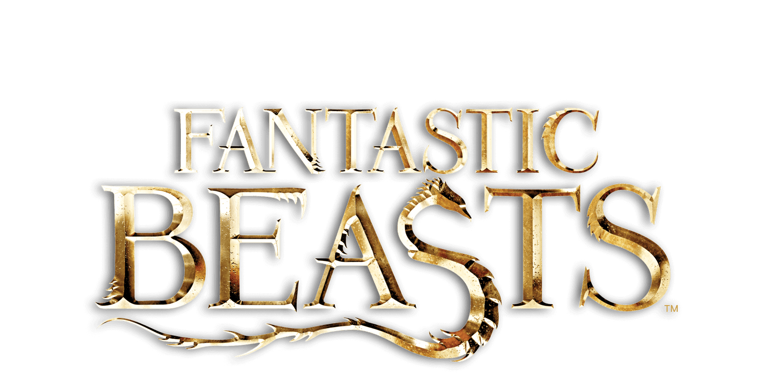 Fantastic Beasts | Shop DVDs & Gifts | Official WB Shop UK