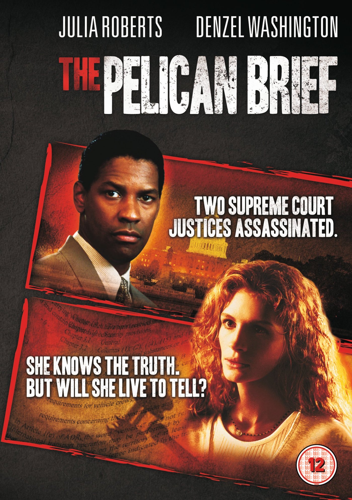 The Pelican Brief [1993] (DVD)