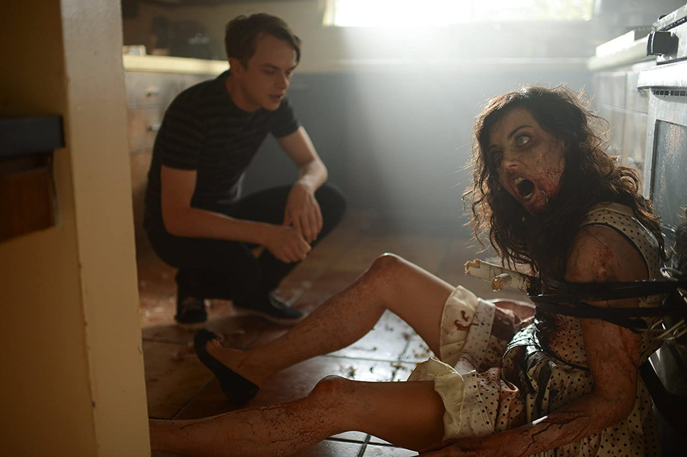 Life After Beth (DVD)