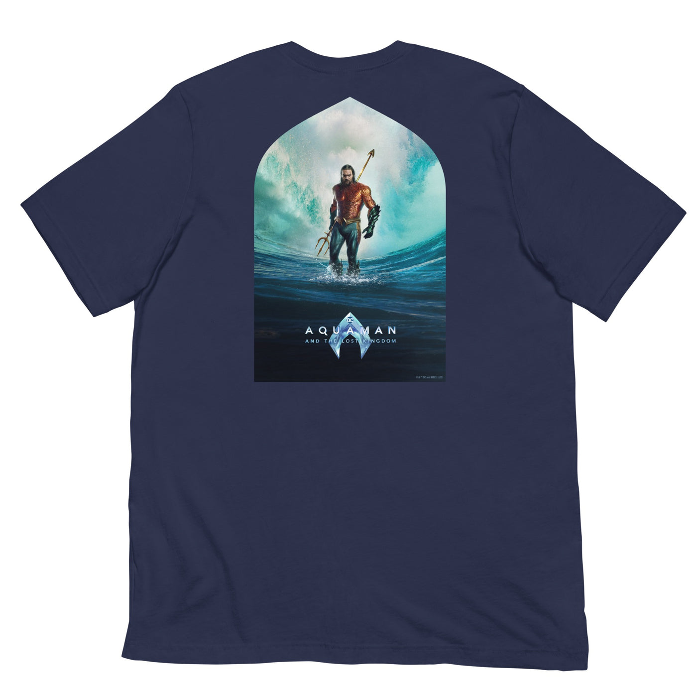 Aquaman and The Lost Kingdom Adult T-Shirt