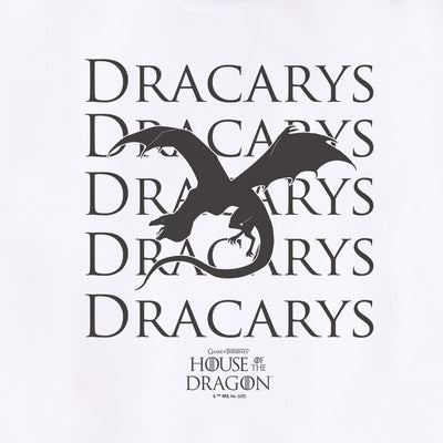 House of the Dragon Dracarys Unisex Hooded Sweatshirt
