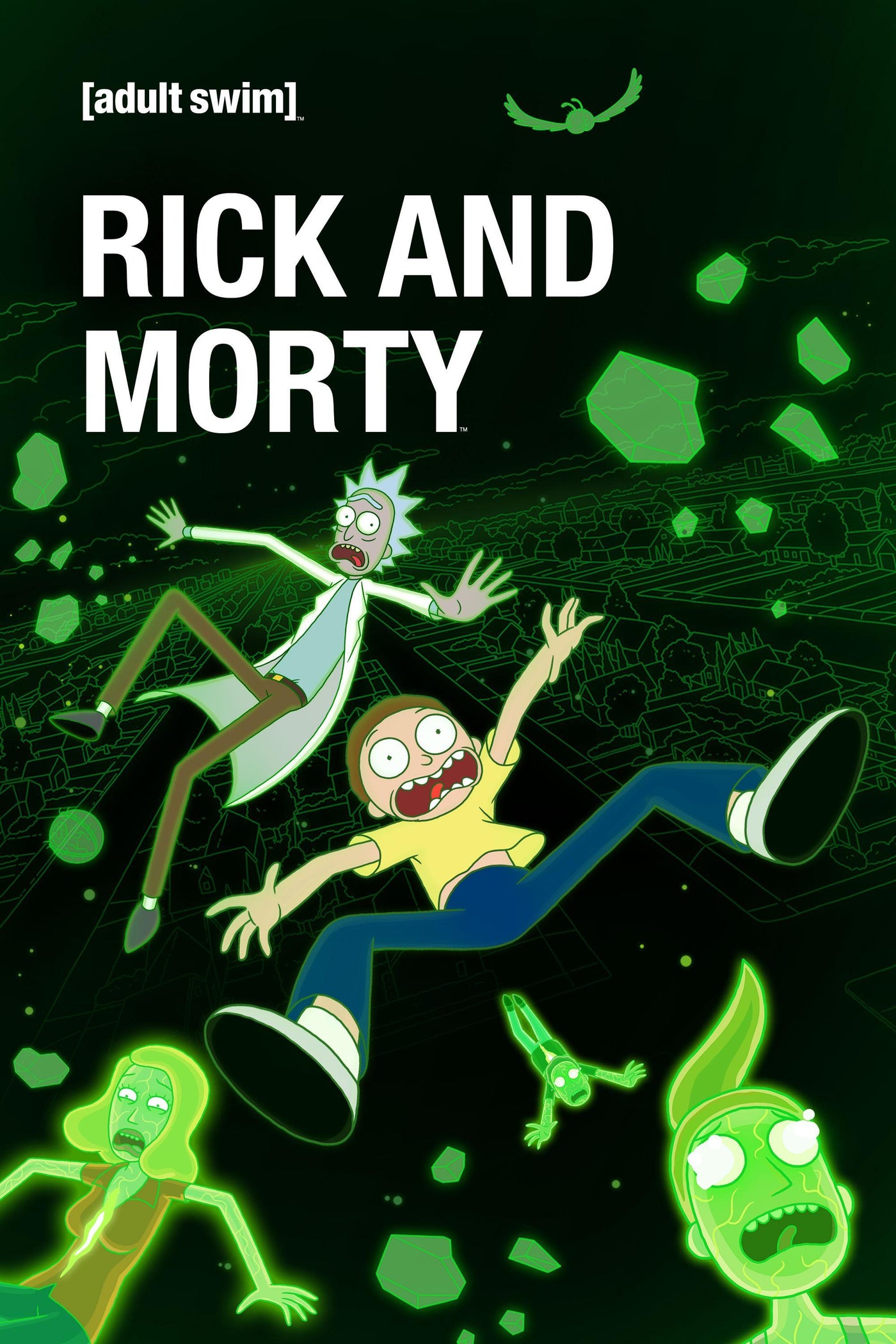 Rick and Morty: Season 6 (DVD) (2022)