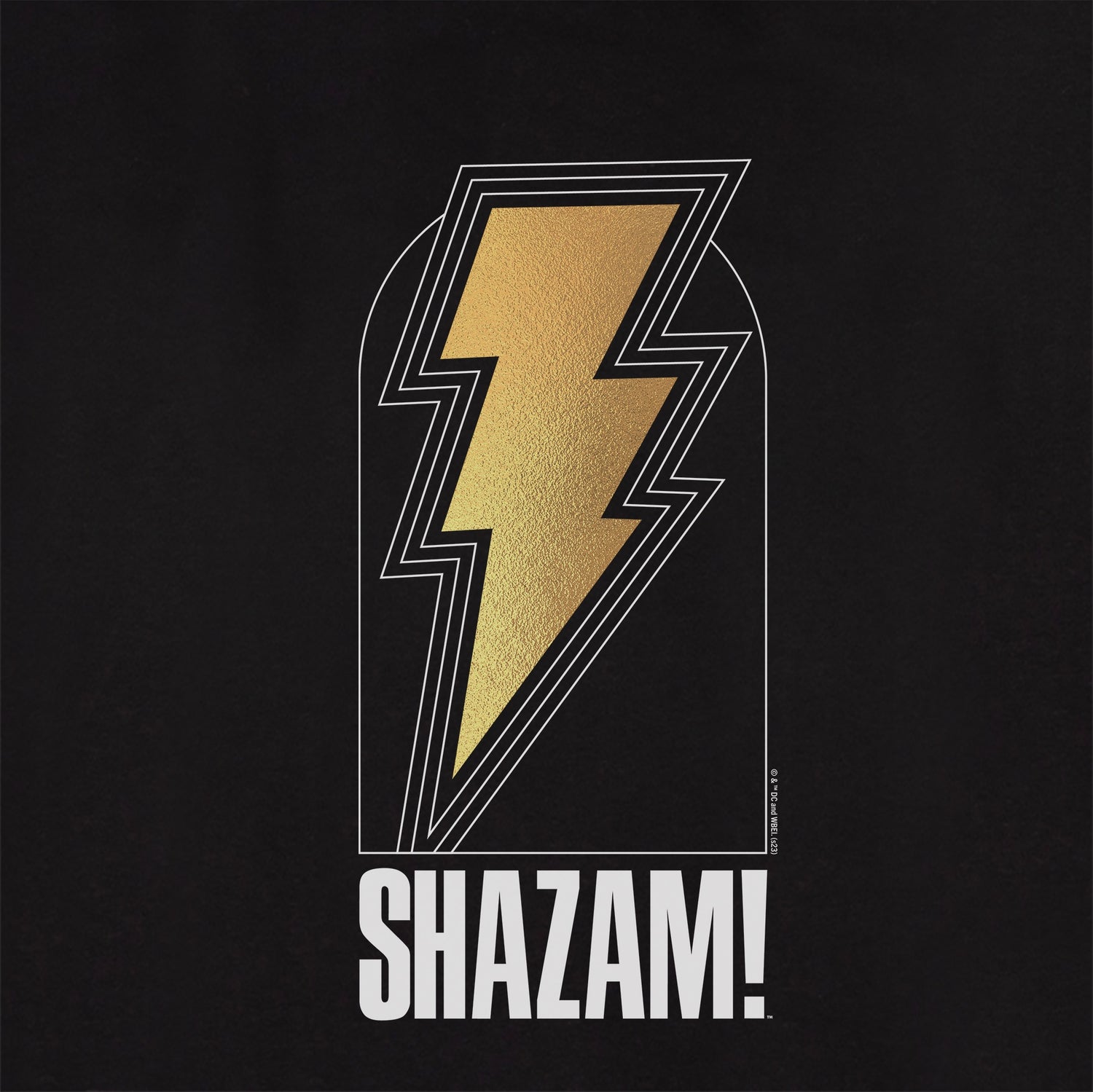 Shazam! We are the power Unisex Hooded Sweatshirt