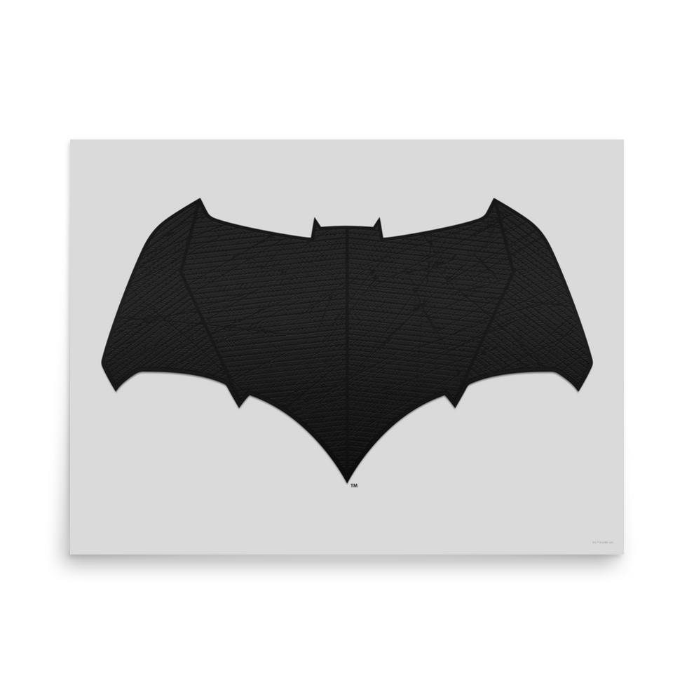 Batman V Superman: Dawn Of Justice (2016) Poster