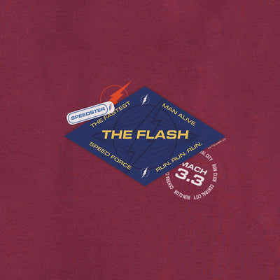 The Flash The Fastest Man Alive  Unisex Hooded Sweatshirt