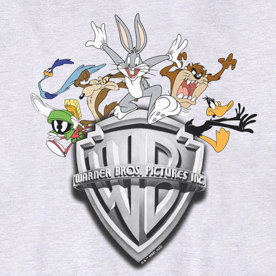 Exclusive WB 100 Celebrating Every Story Hoodie – Warner Bros. Shop - UK