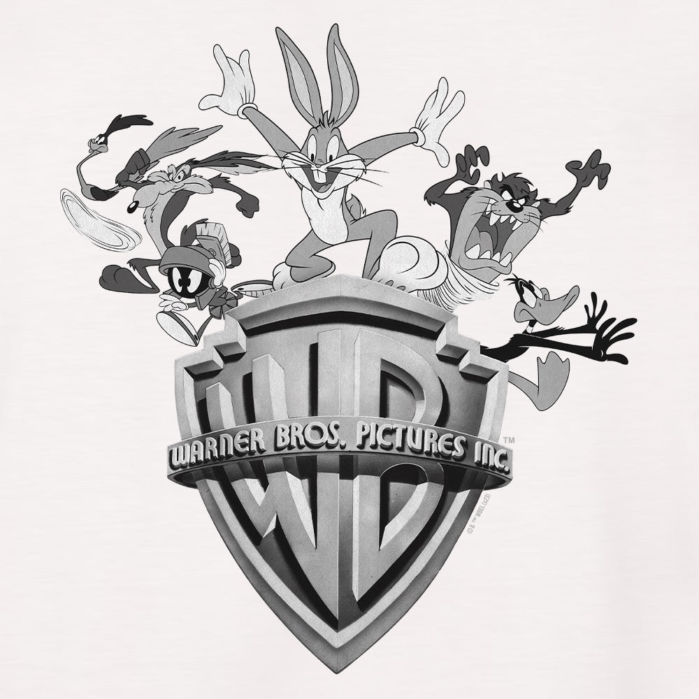 cvtvlist CTLS Warner Brothers joker ロンT 【公式通販】