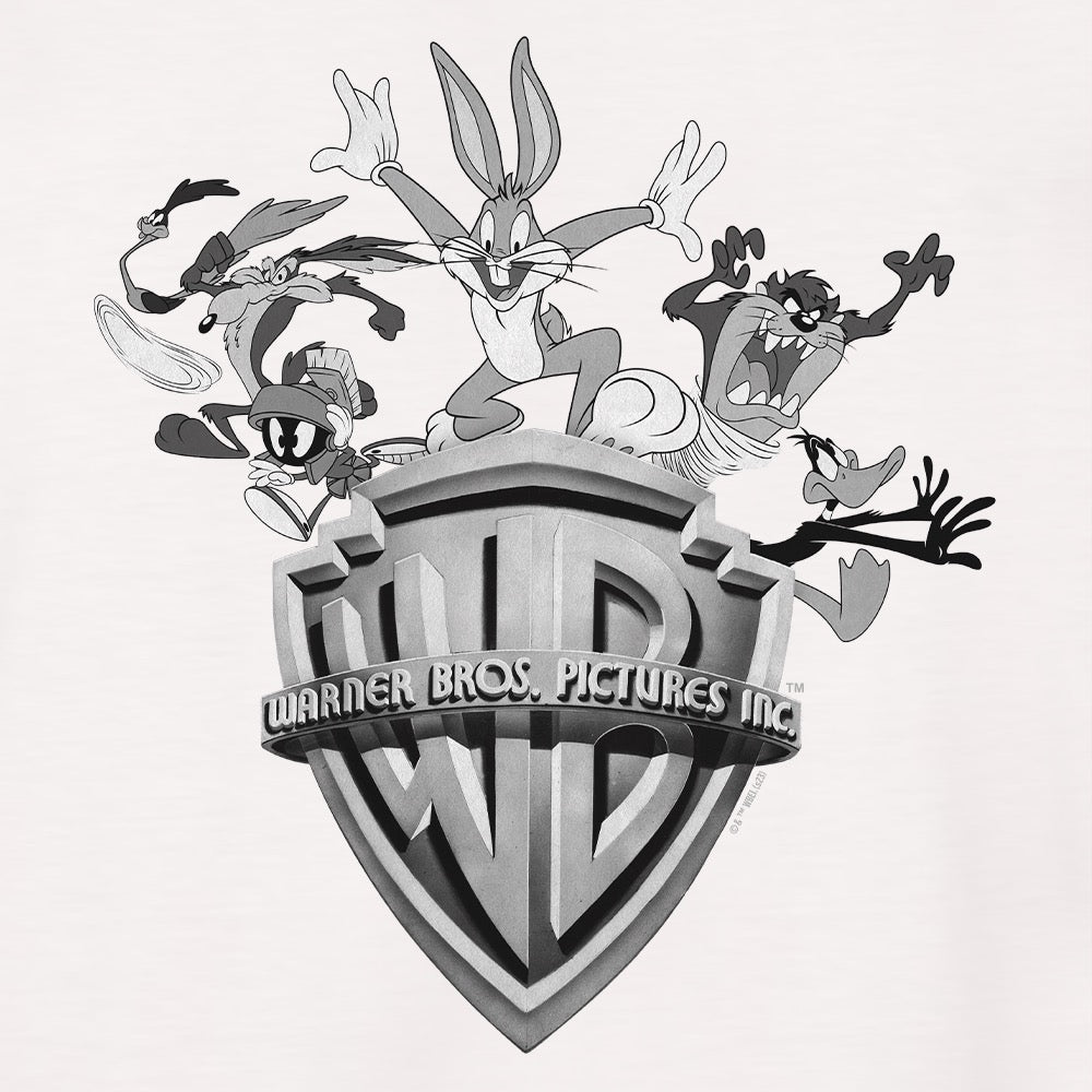 WB100 Warner Bros Shield Looney Tunes Adult Raglan T-shirt